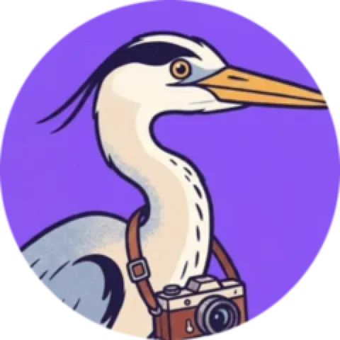 Heron